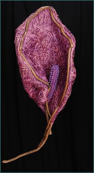 Calla Lily, a woven lily by master basket weaver Tina Puckett of Winsted, CT