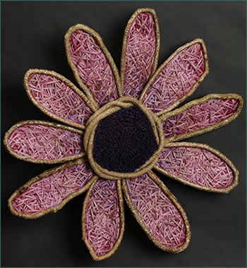 Echinacea Purpurea