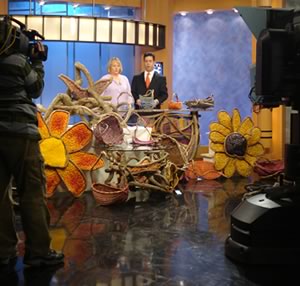 Tina Puckett surrounded during her interview on WTNH-TV by a wide variety of the baskets, sculptured flower wallhangings, and woven furniture she has crafted